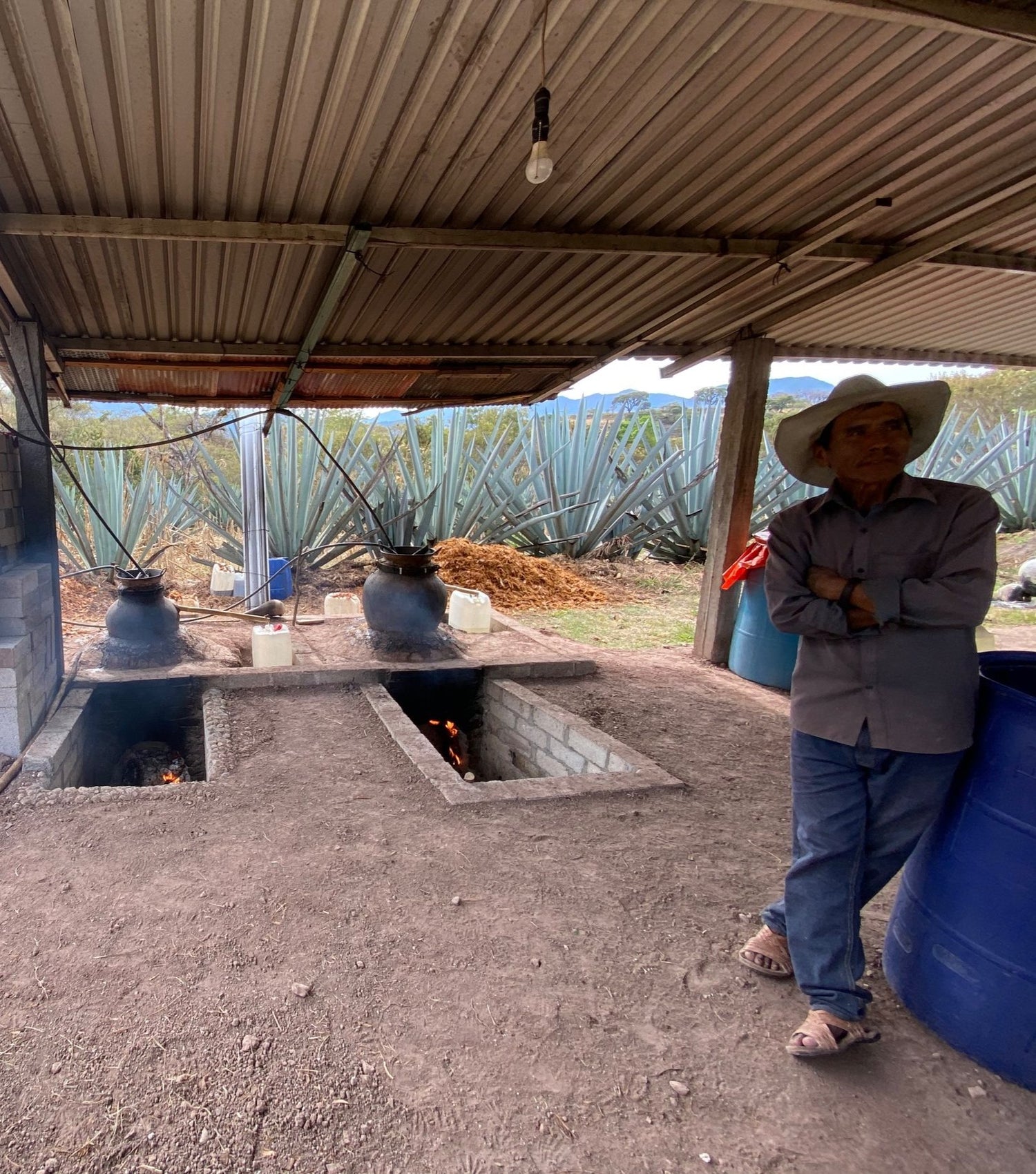 Anatolio, creator of the Mexicanito - San Jose Rio Minas mezcal