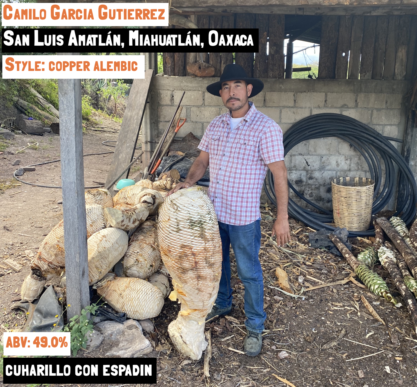 Main image for the Cucharillo con Espadín - Amatlán mezcal page on the Sin Gusano project website