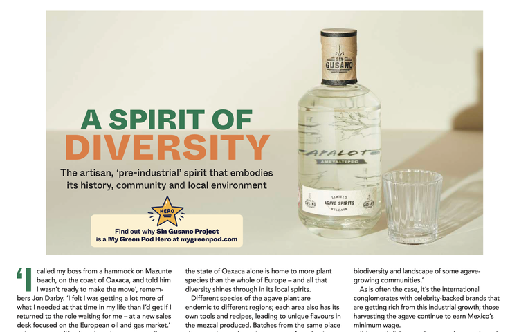 Double page spread in the World Environment Day issue of My Green Pod magazine