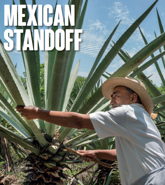 Drinks International on agave spirits featuring the Sin Gusano project