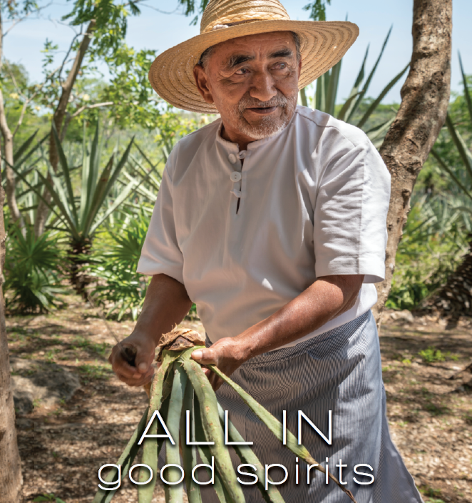 Ethical Spirits - The Drinks Business feature on sustainability featuring the Sin Gusano Project