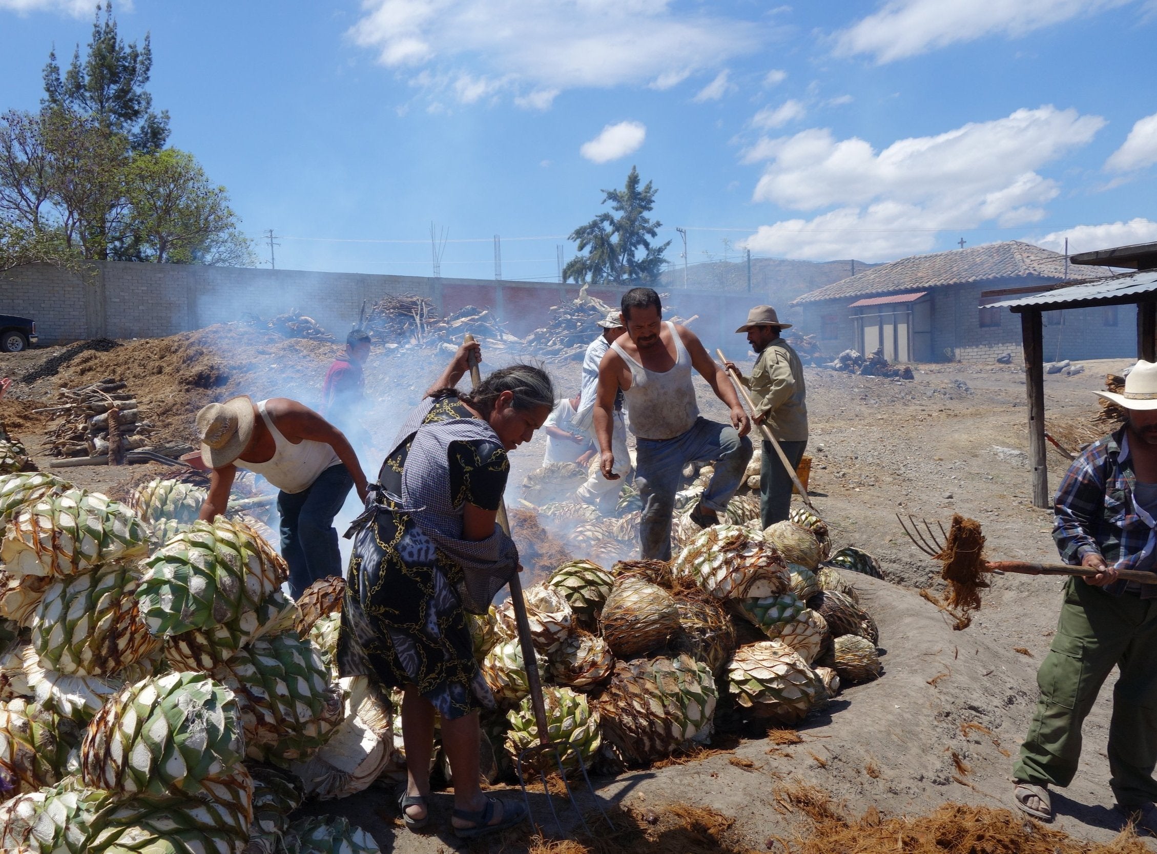 a group filling the outside oven with pinas to make mezcal