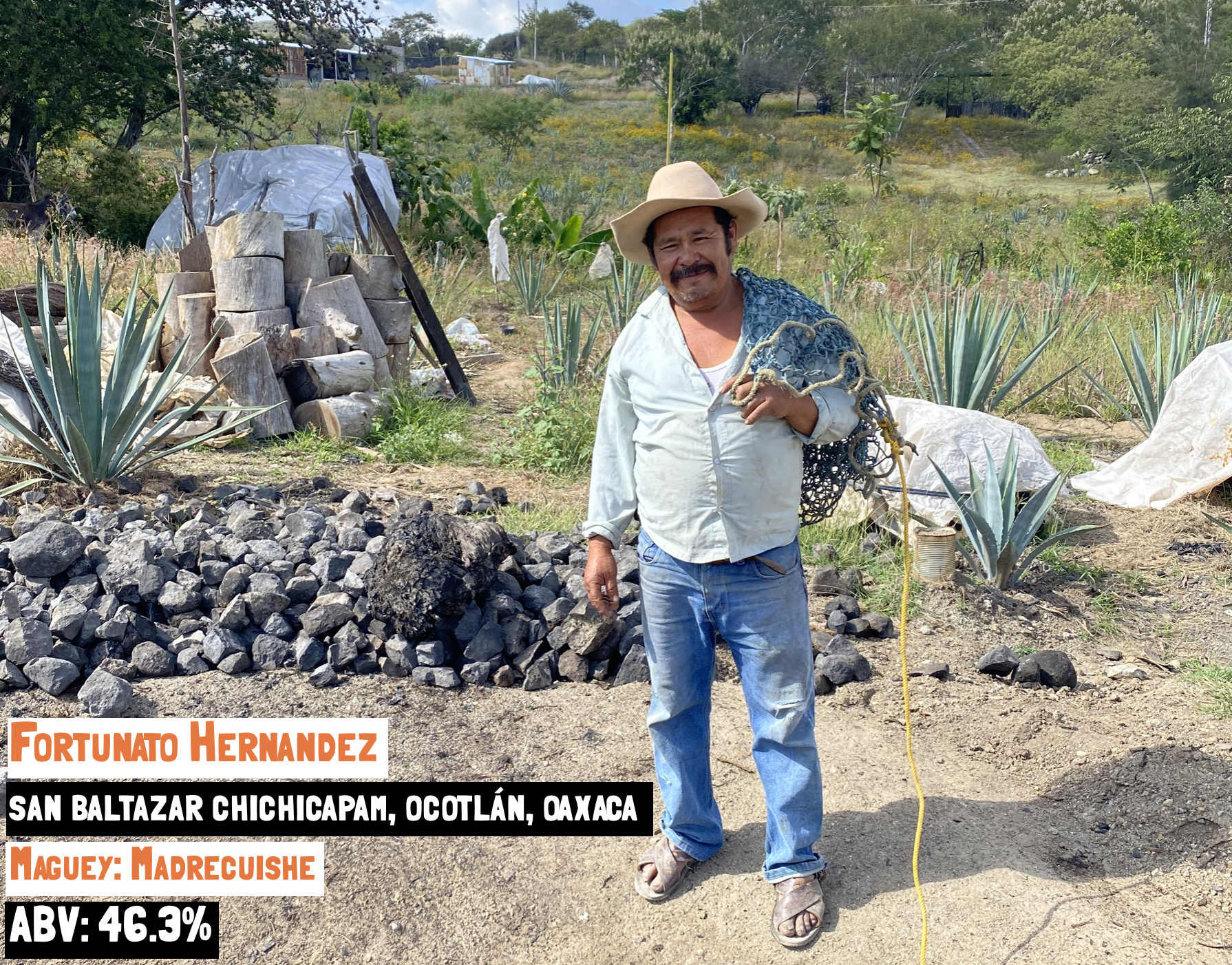 Madrecuixe - Chichicapam mezcal