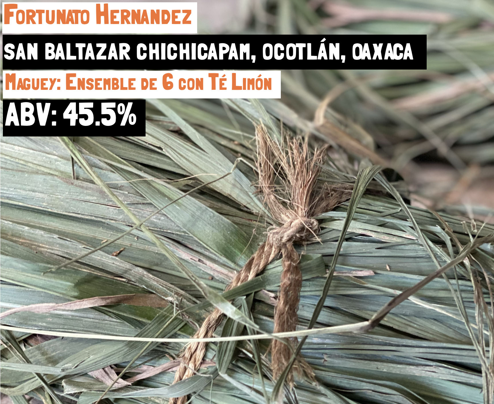 main image for the Mezcla de campo con té limon - Chichicapam mezcal