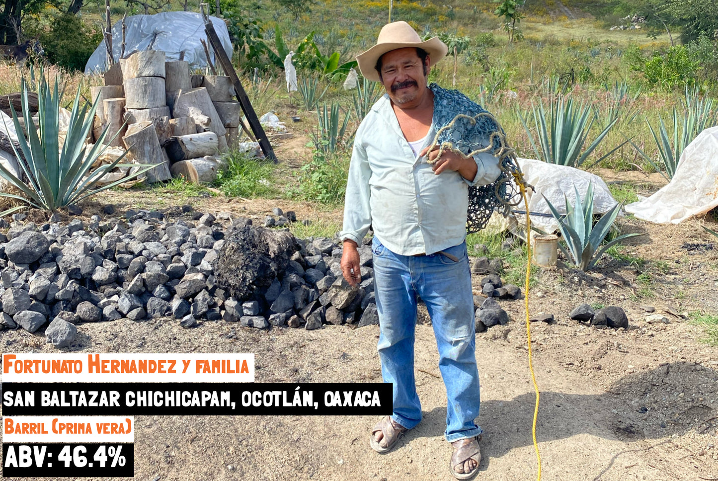 Barril (Prima Vera) - Chichicapam