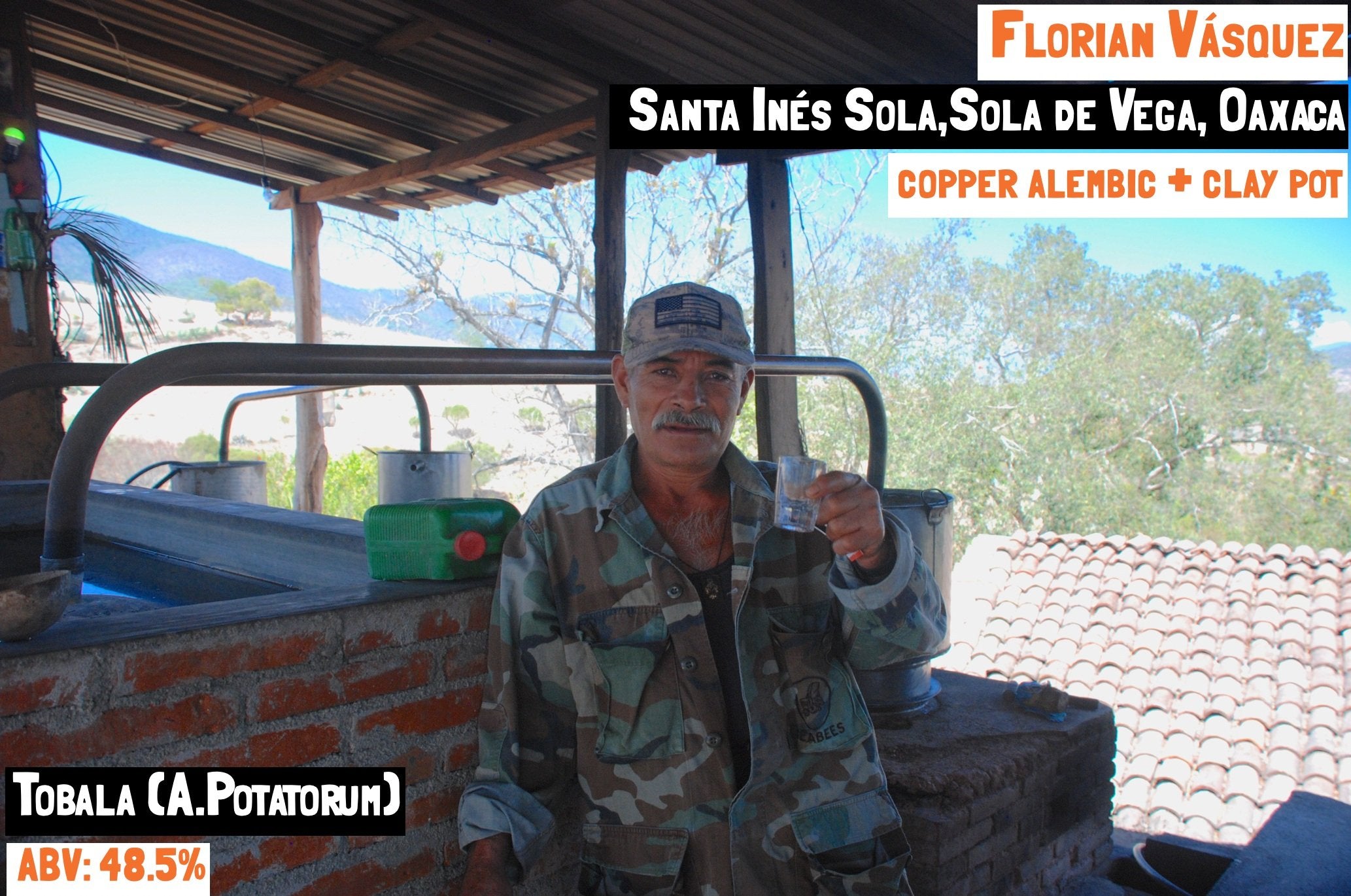 Main image for the Mezcal library for the Tobala - Santa Inés Sola Batch: FV-01 Mezcal exclusive to Sin Gusano