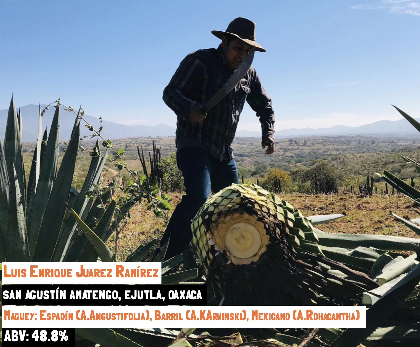 Main image for the Espadín, Barril, Mexicano - Amatengo mezcal webpage on the Sin Gusano website