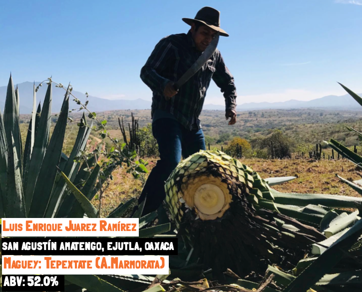 Main image for the Tepextate - Amatengo mezcal webpage of the Sin Gusano project website