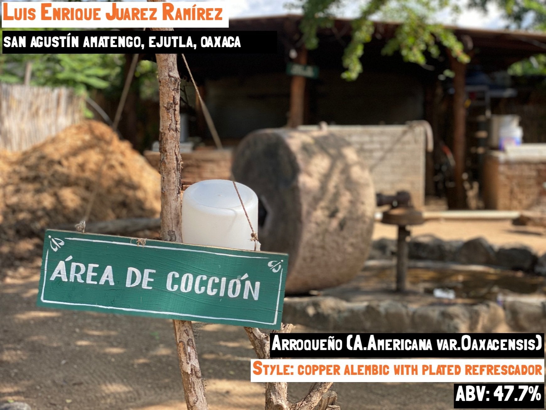 main image for the Arroqueño - Amatengo mezcal page on the Sin Gusano project