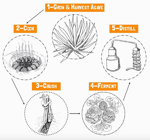 Making Mezcal process
