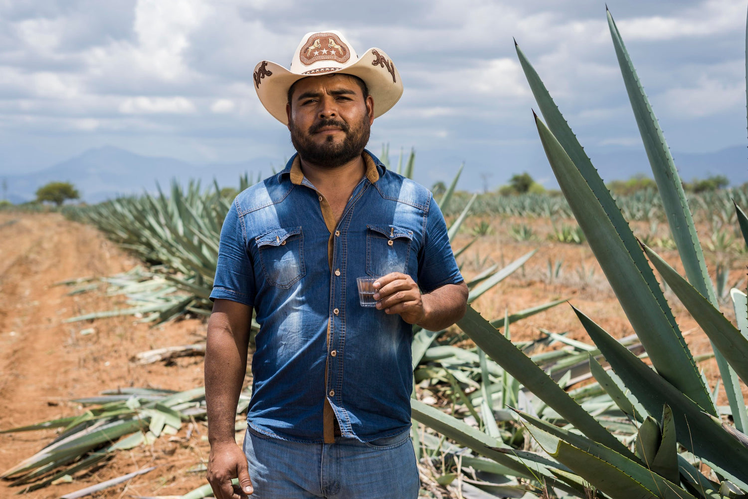 Ramón, creator of the coyote - logoche
mezcal