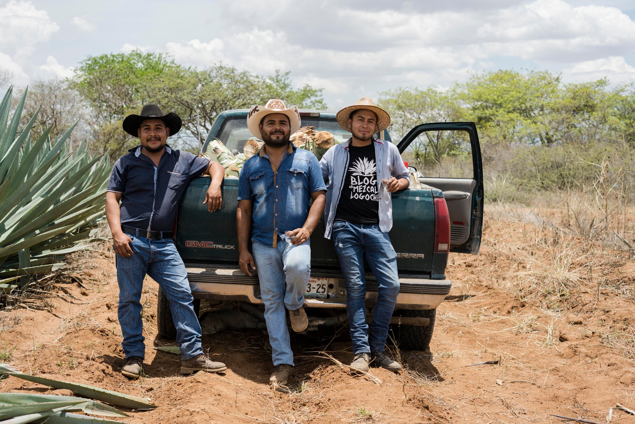 Three men loading a truck with pinas to be made into mezcal