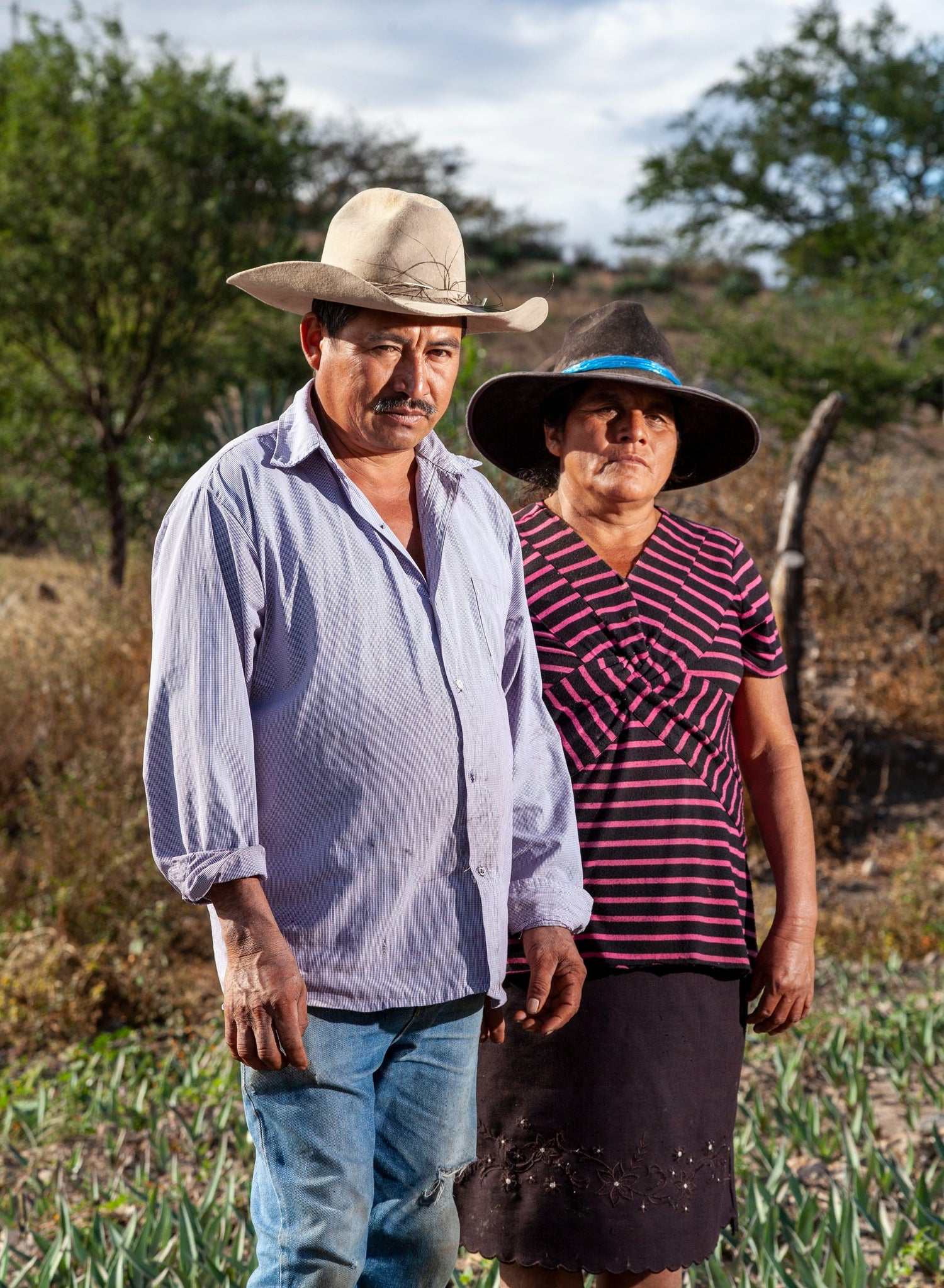 Hermógnes, and our collaborators Neta for mezcal production