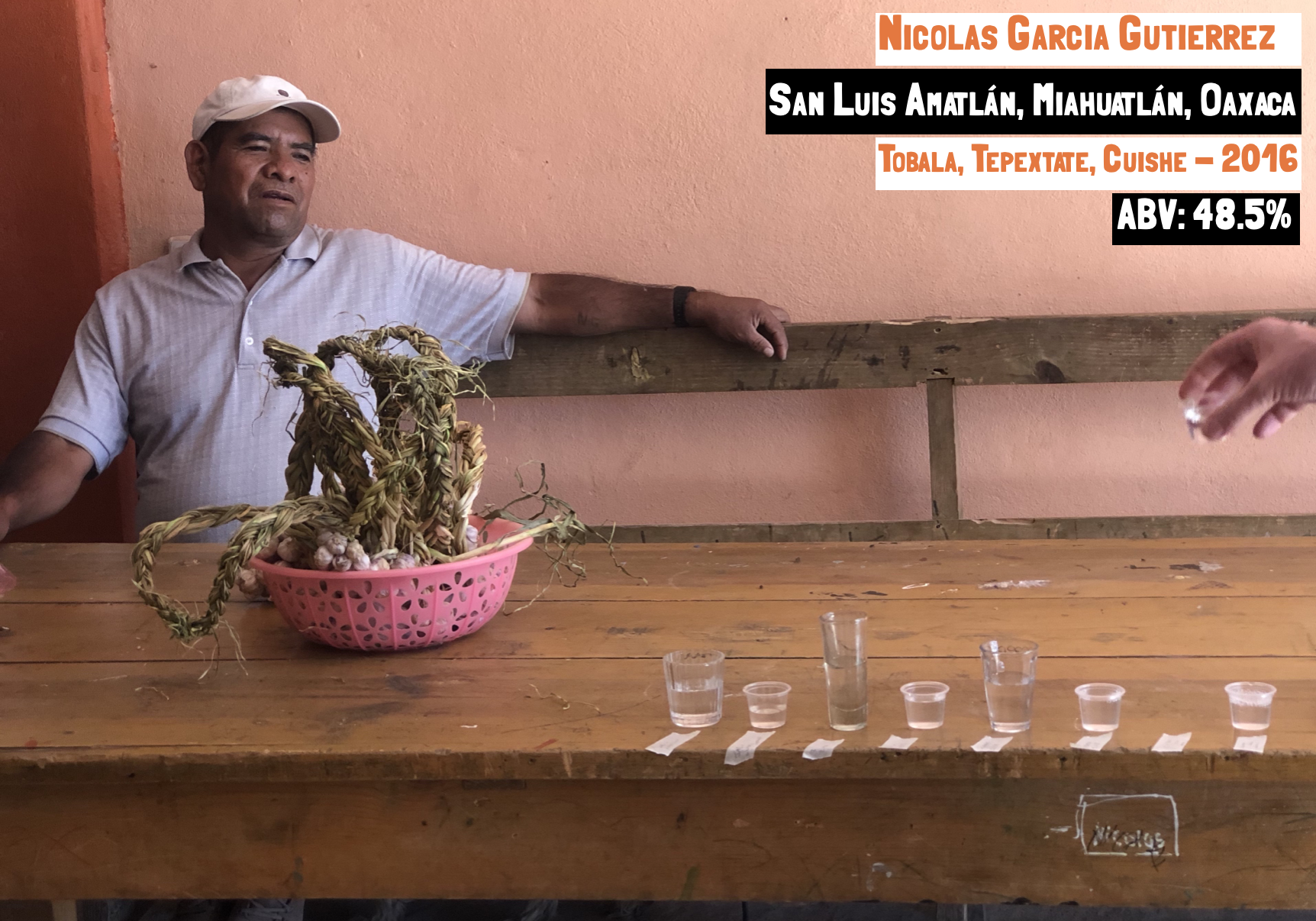 Main image for the Tobala, Tepextate, Cuishe - Amatlán mezcal webpage for the Sin Gusano Mezcal Library