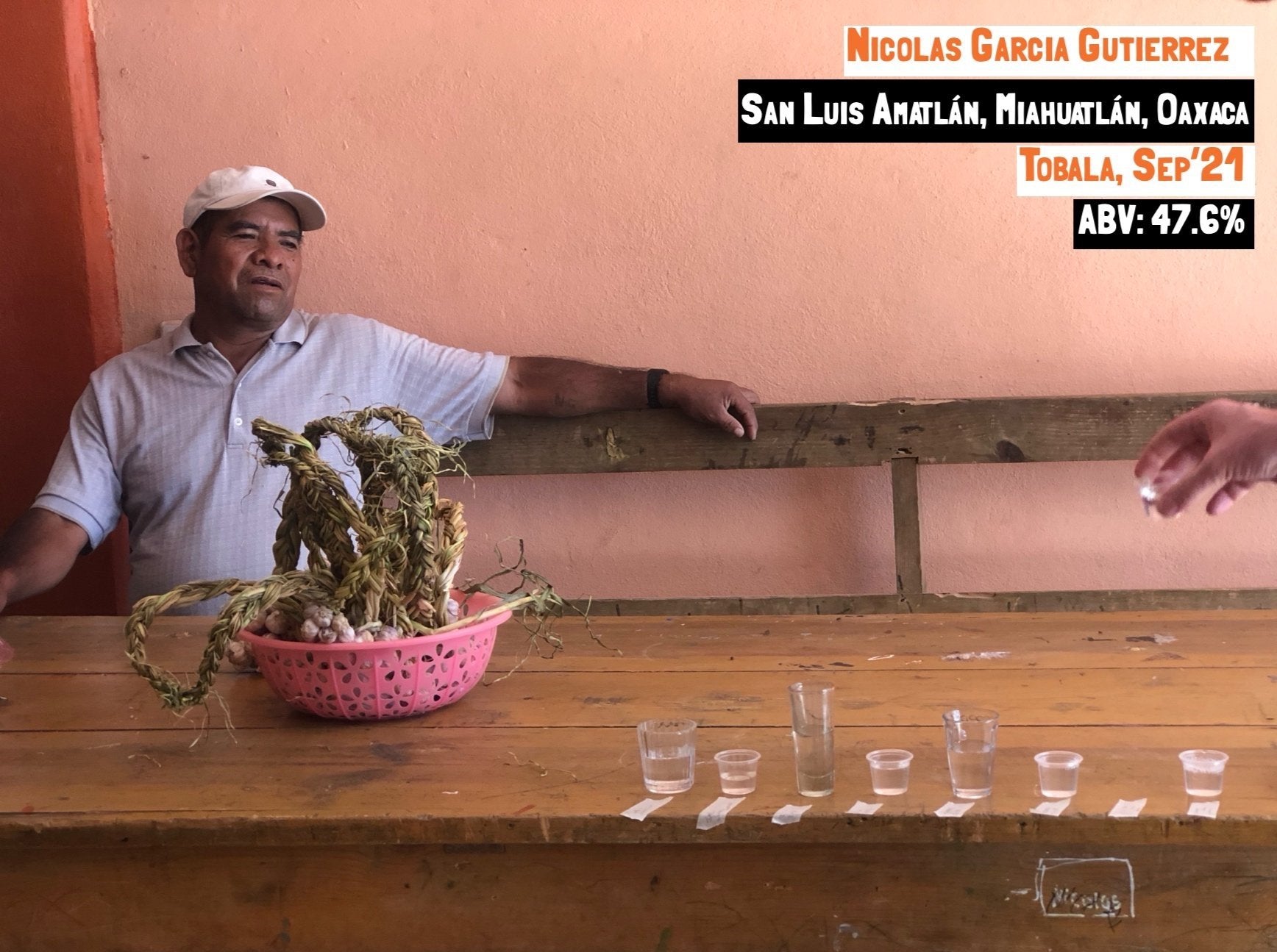Man sitting at a table with a basket of plants and glasses of mezcal, against a pink wall.