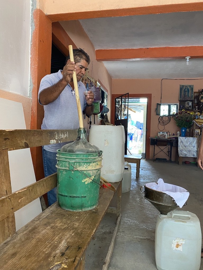 Nicolas, the creator of the Tepextate - Amatlán mezcal