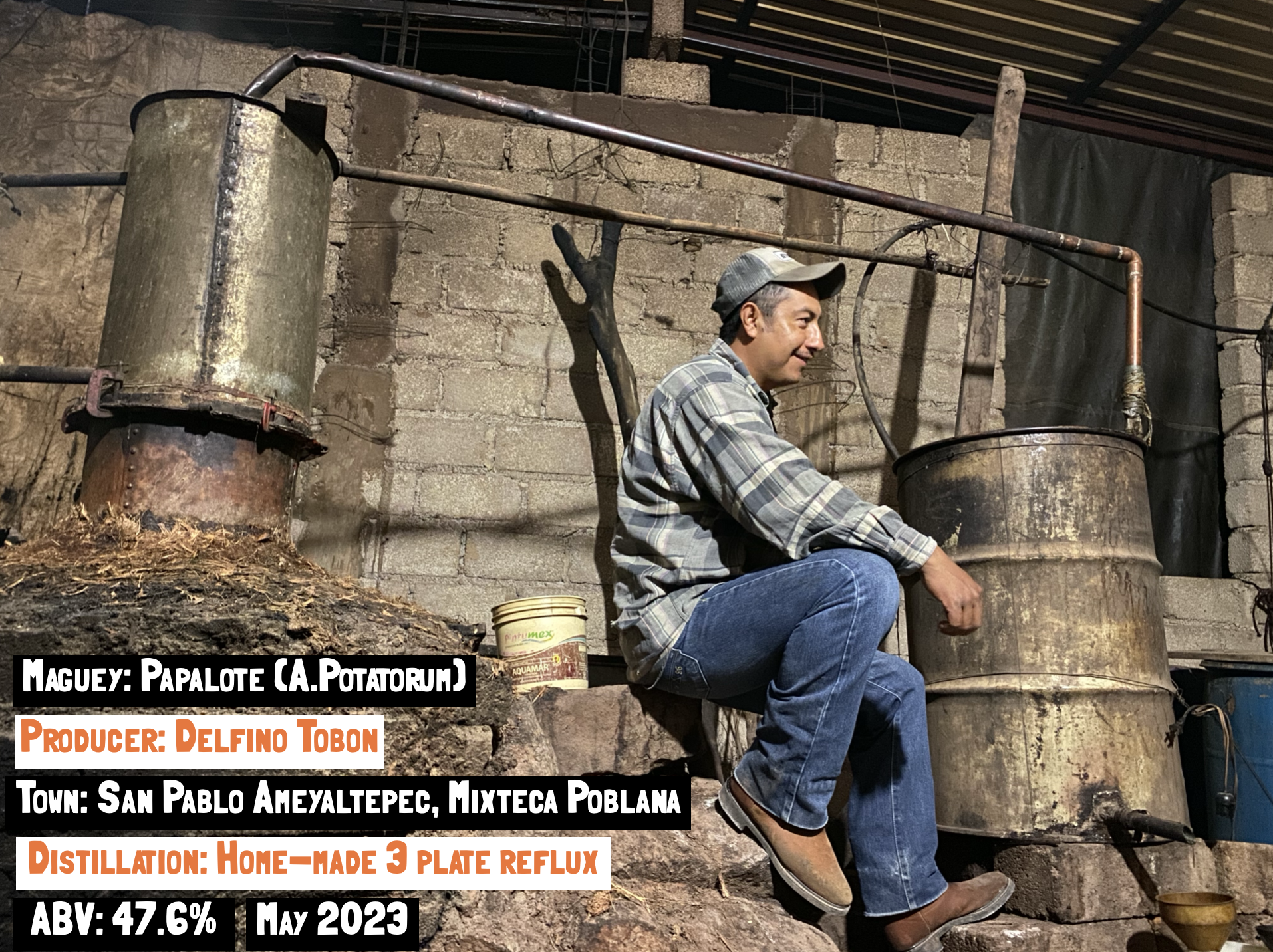 main image for the Papalote - Ameyaltepec, Batch: P-DT-05. Exclusive to Sin Gusano