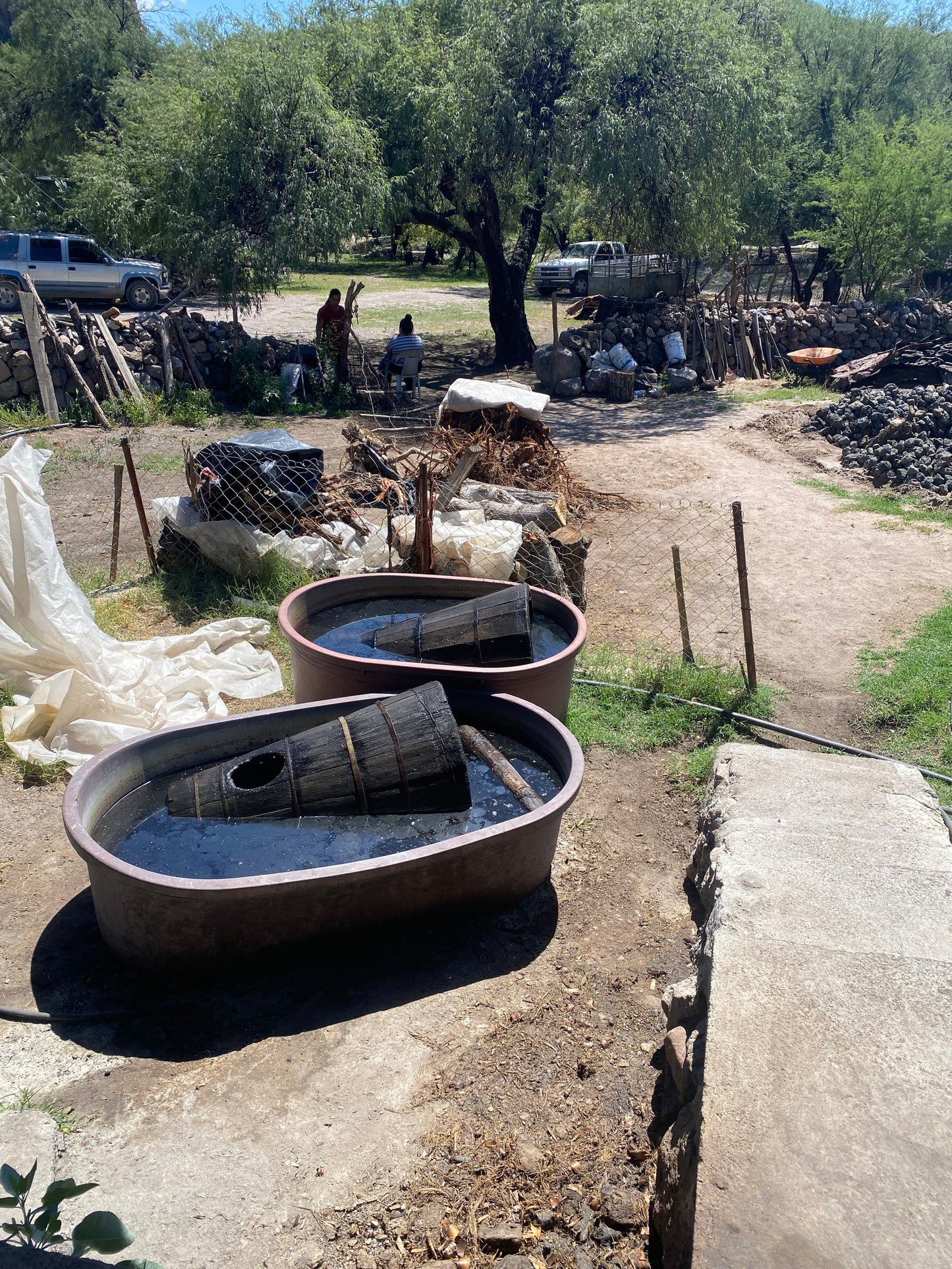 production method for the Sotol - El Venado small batch mezcal exclusively available at Sin Gusano