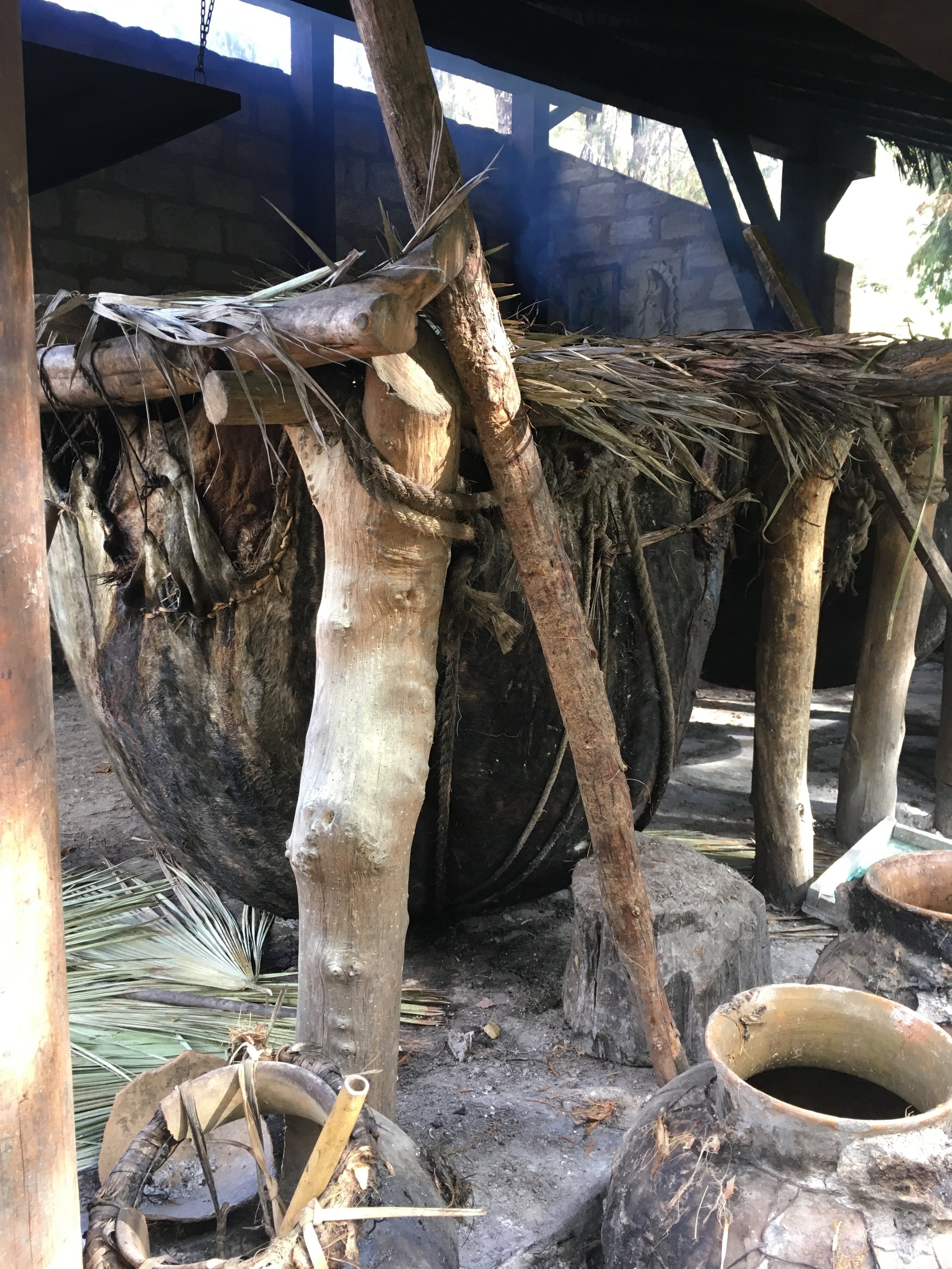 Fermenter made from stretched cow skin