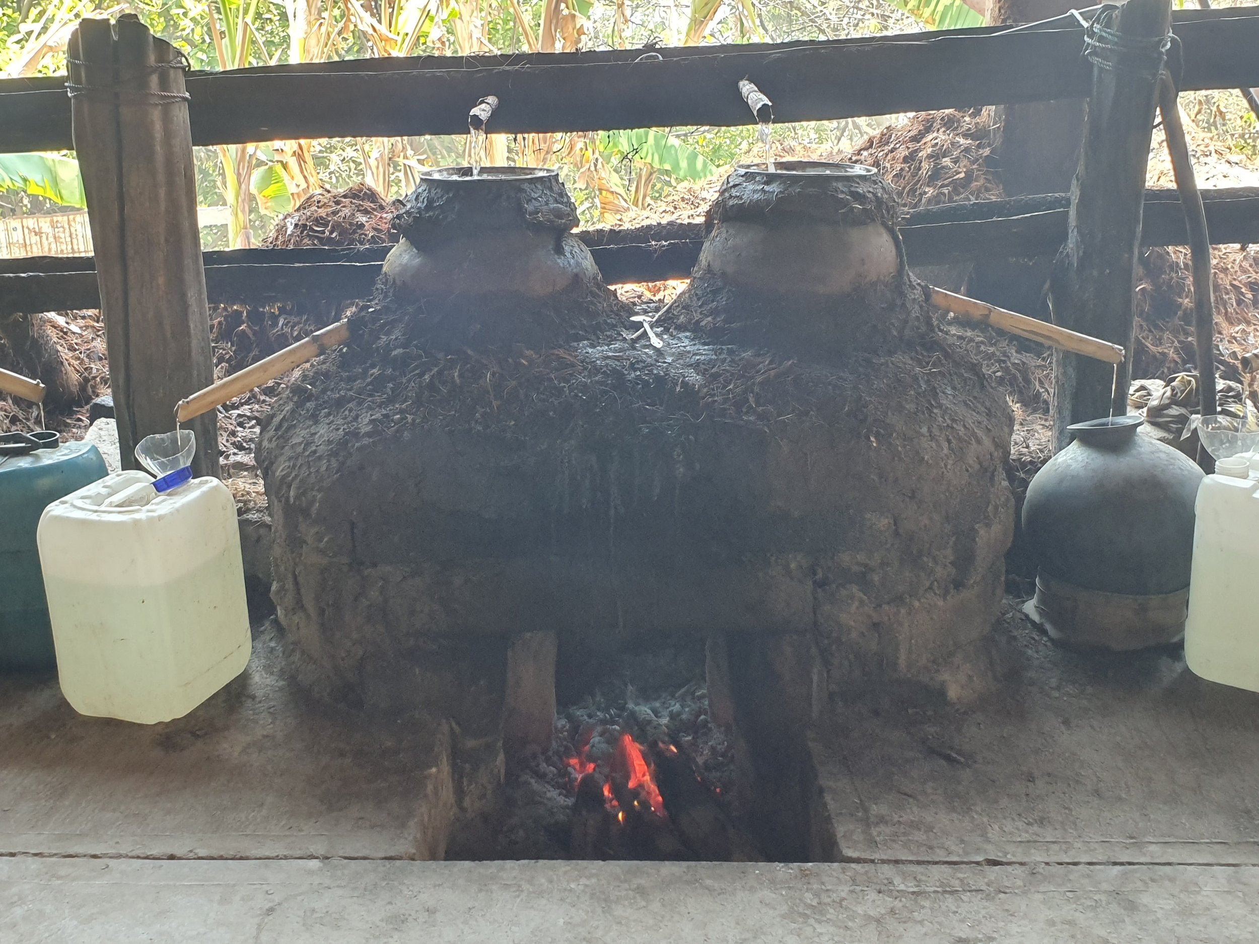 Espadín Capón - Santa Catarina Albarradas mezcal