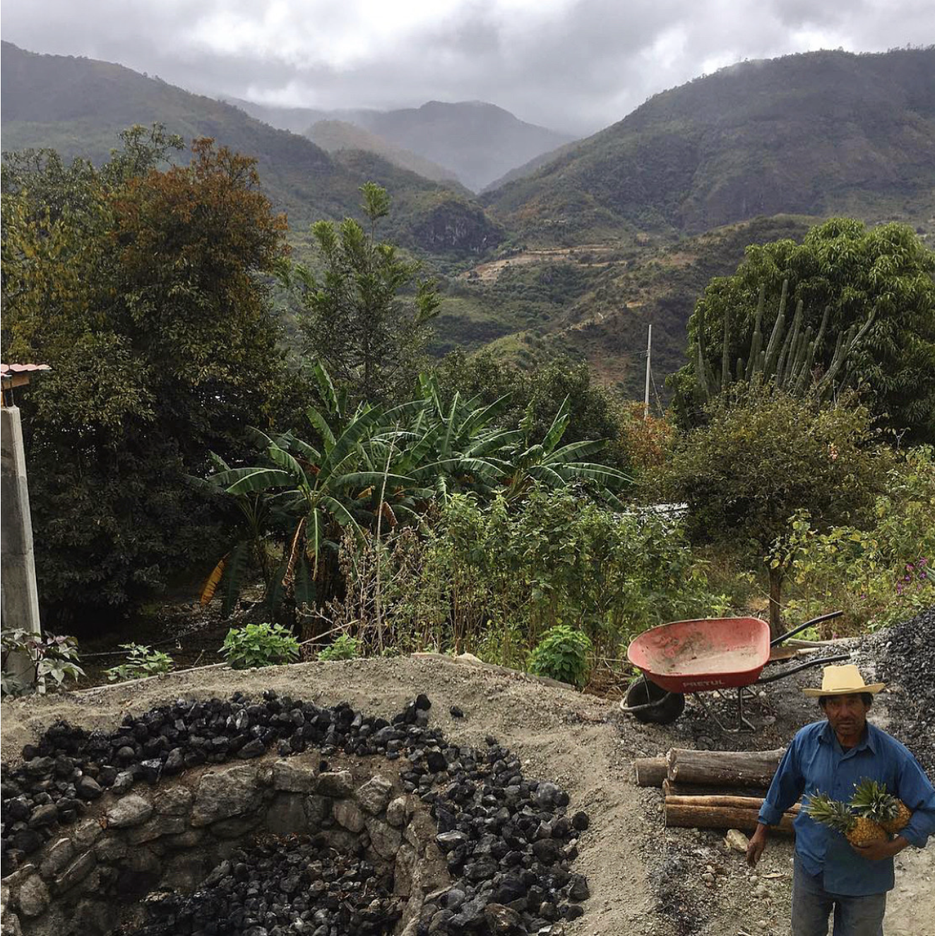 an in ground oven used for cooking pinas for mezcal