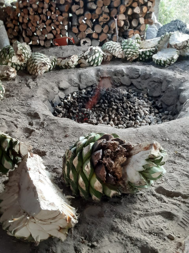 Espadín Capón - Santa Catarina Albarradas mezcal