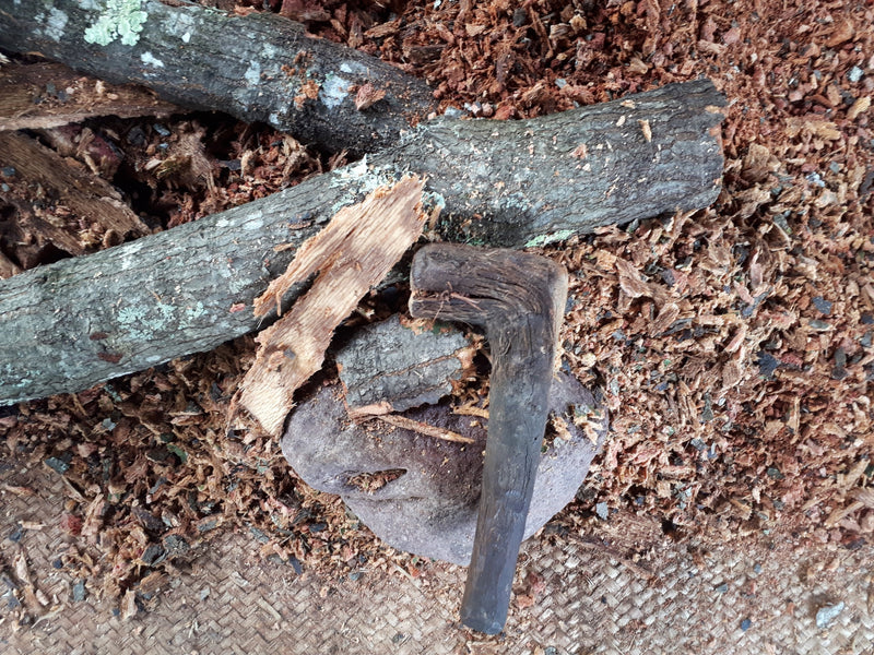 Tepejuaje bark for fermentation in the Sierra Norte