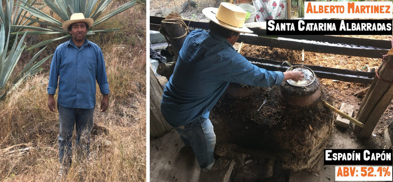 main image for the Espadín Capón - Santa Catarina Albarradas mezcal