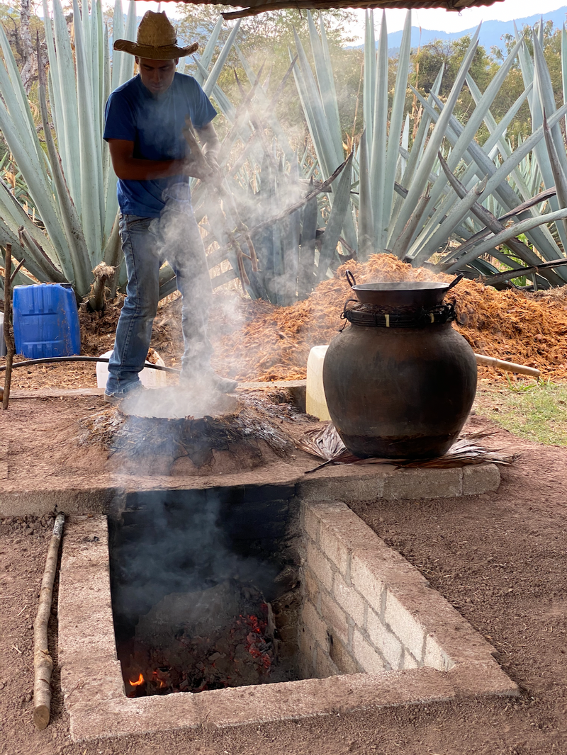 in ground oven used for cooking pinas to produce mezcal