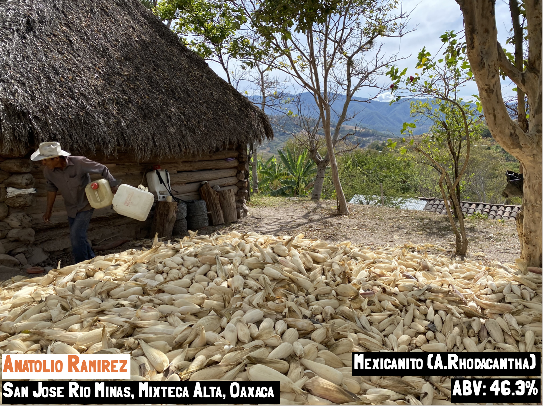 Main image for the Mexicanito - San Jose Rio Minas mezcal page of the Sin Gusano project website