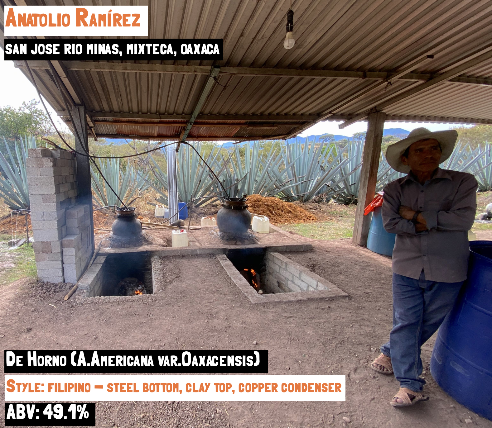 Main image for the De Horno - san jose rio minas mezcal webpage on the Sin Gusano website