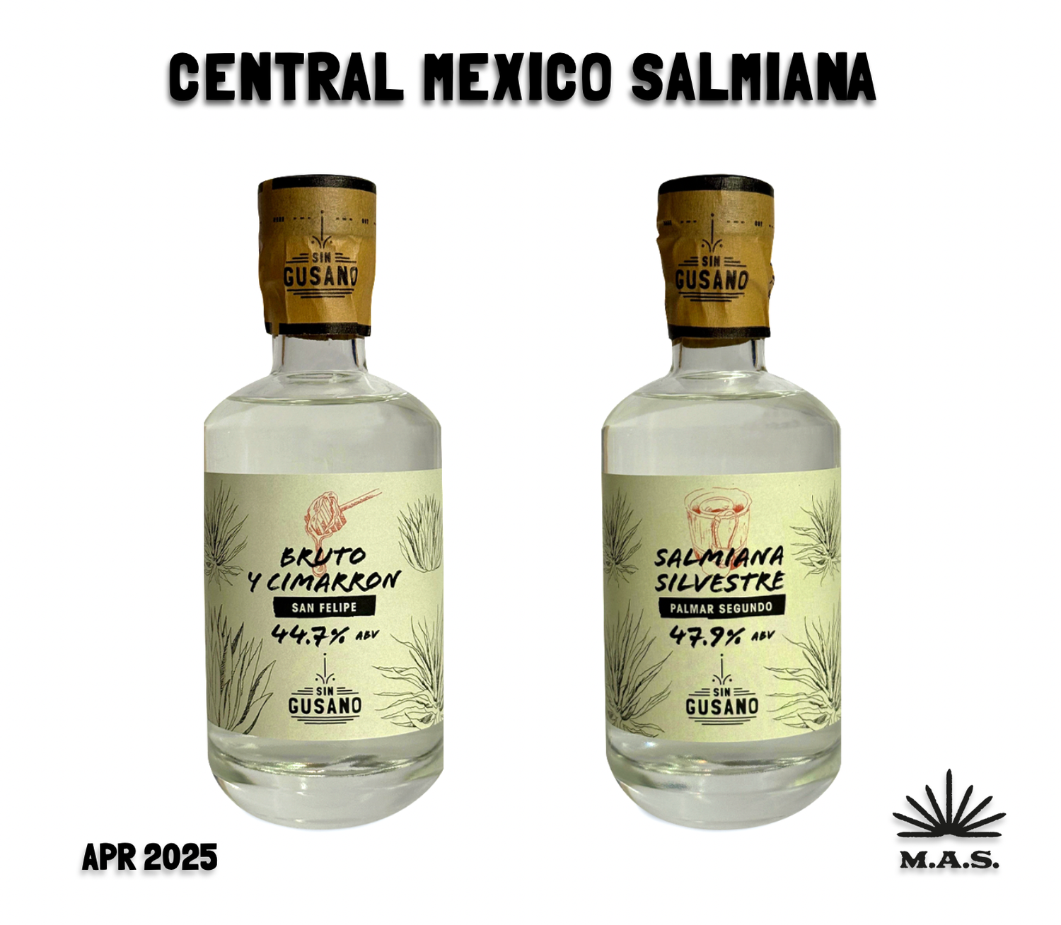 The April 2025 entry of the Sin Gusano Project Mezcal library