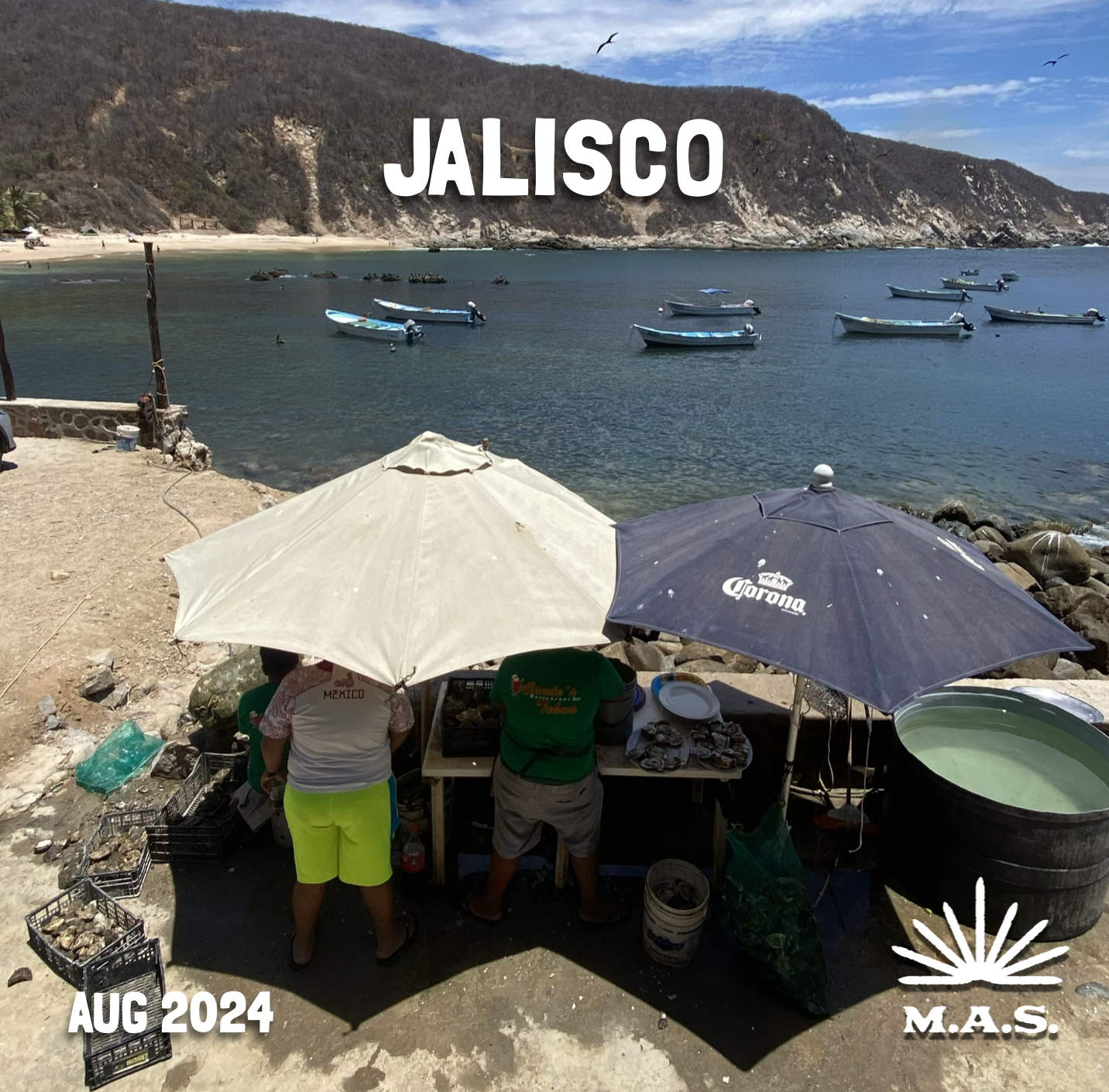 a bay in Jalisco. This is a poster for the August 2024 edition of the Mezcal Appreciation Society, part of the Sin Gusano project
