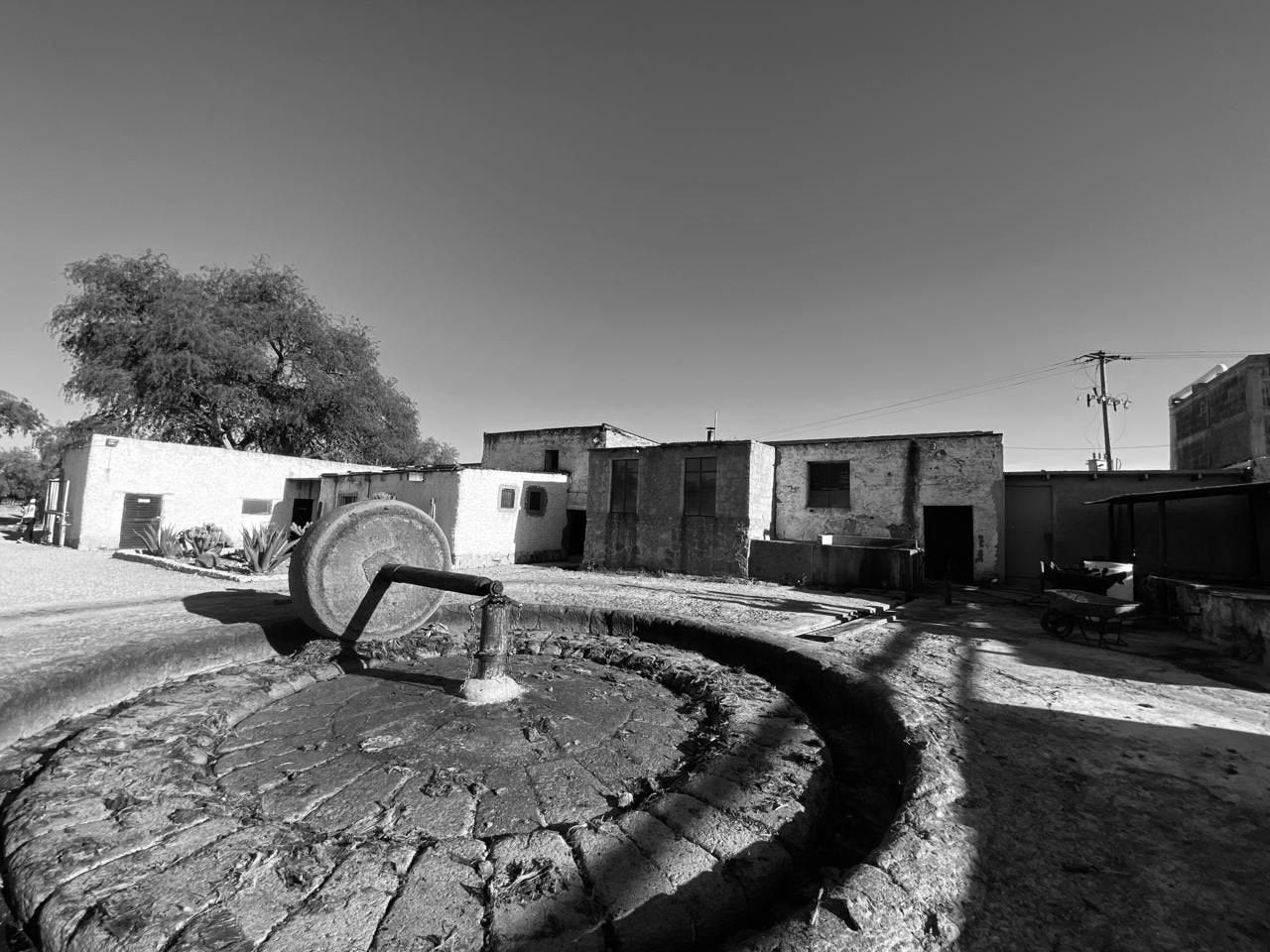 production of the Bruto y Cimarron - San Felipe, Guanajuato small batch Mezcal exclusively available at Sin Gusano