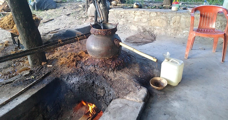 Sebastian checking the perlas of fresh mezcal running off the clay still