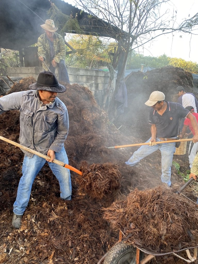 Using bagazo, the mezcal bi-product, as sealant for the oven.