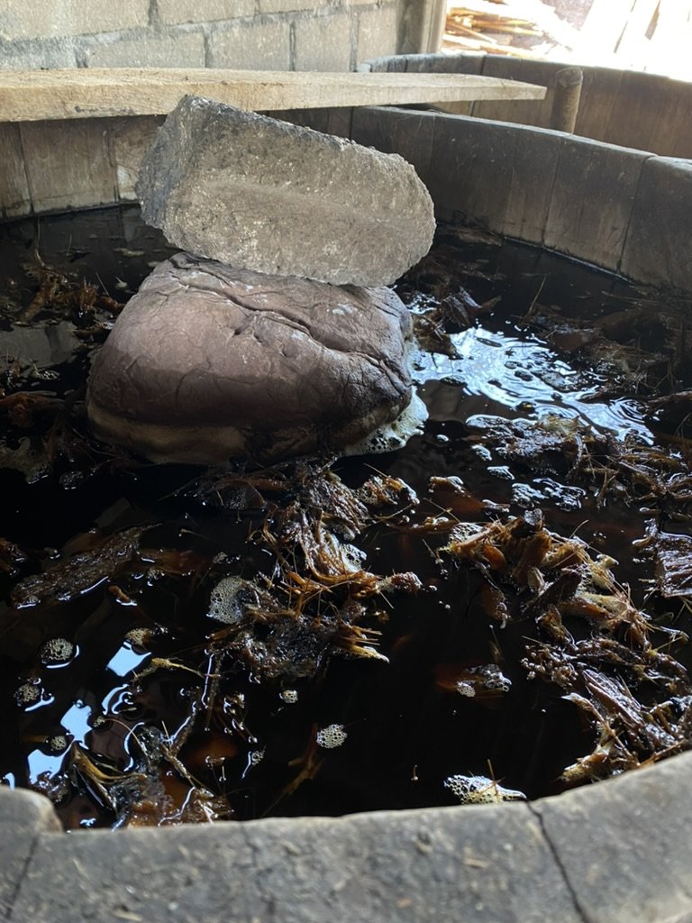 a water bath used for cooling agave for mezcal production