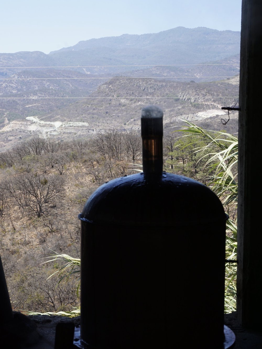 Jabali foaming during distillation of mezcal