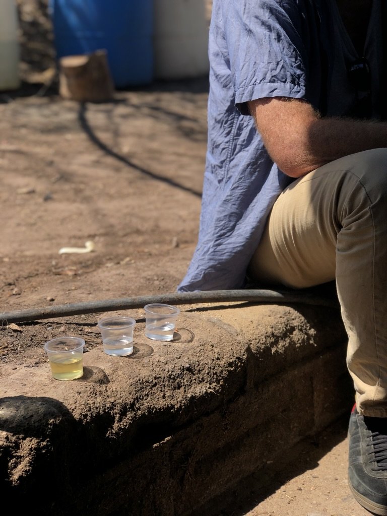 Tasting cups from a local distillery with mezcal inside