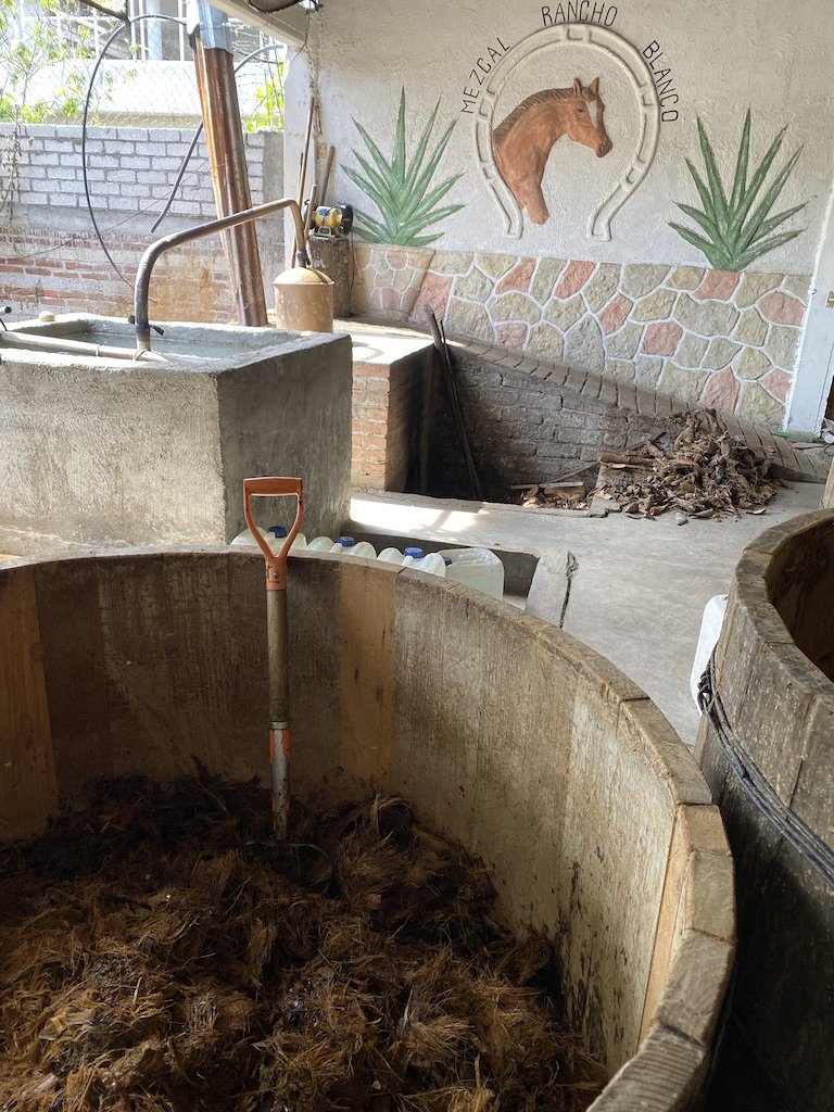 mashed agave fermenting in large slatted open-air wooden tinas.