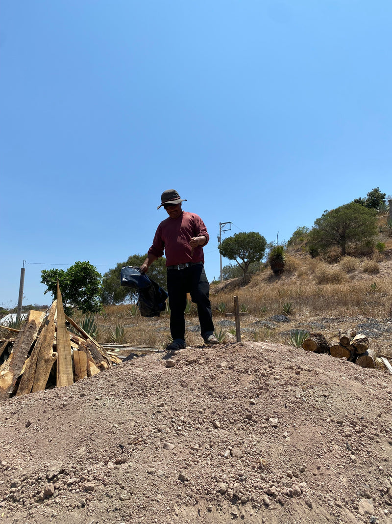 Carlos on a closed oven cooking Pina's for mezcal