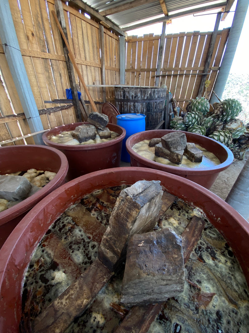 the sour and alcoholic mash was loaded, fired and all, into Carlos’ single 200-litre copper still, for a first distillation.