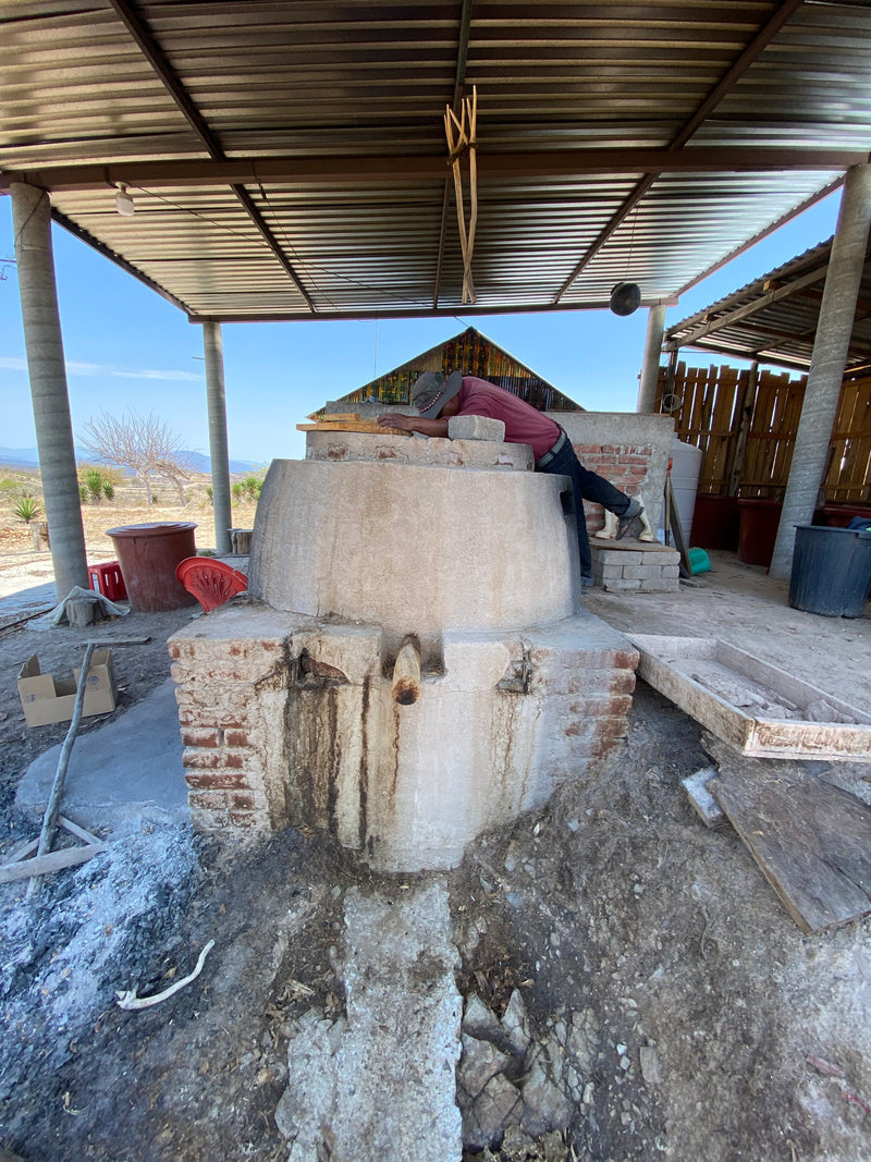 the still was cleaned of bagazo (agave fibres) and vinasa (waste liquid)