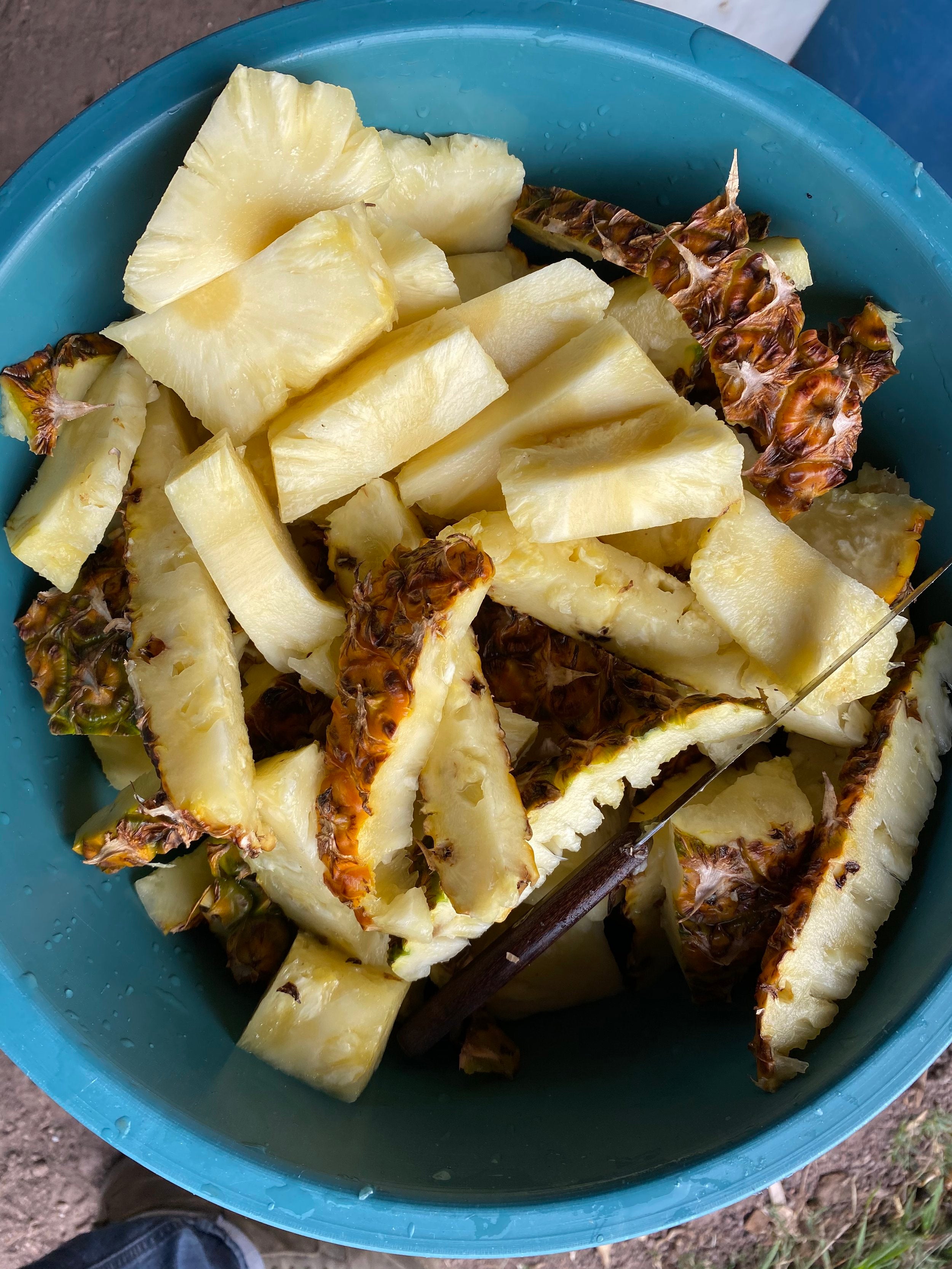 Pineapple pieces used for the Biquix con Piña - El Guayabo batch of mezcal