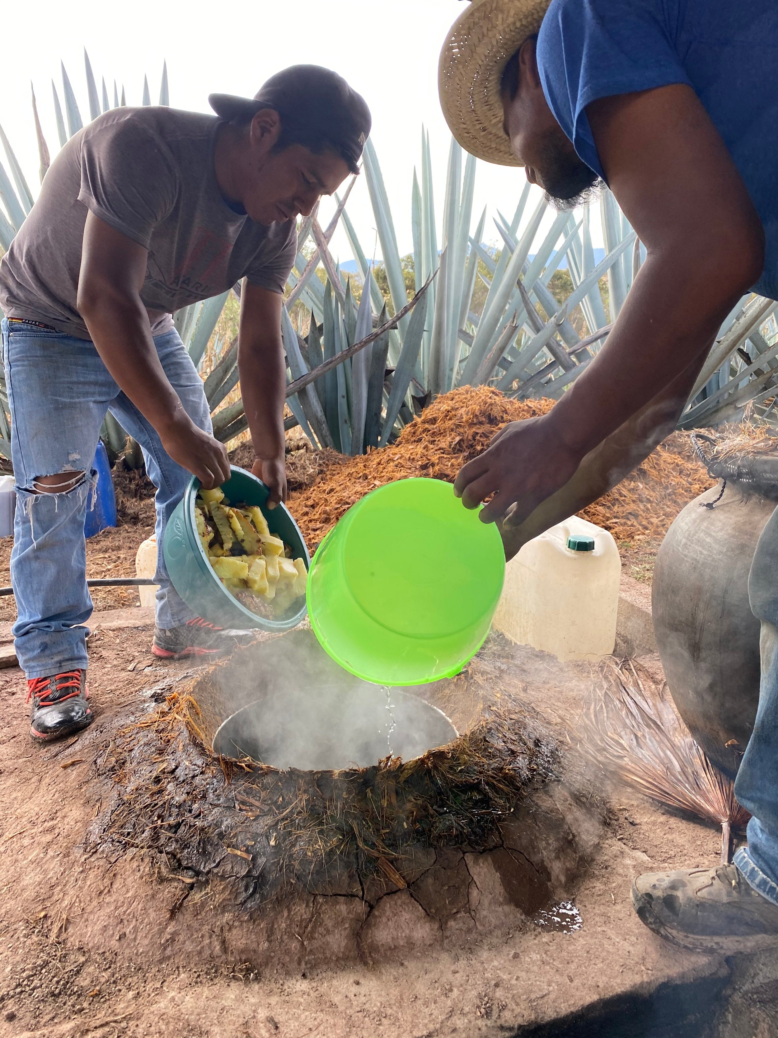 26 whole pineapples in this tiny 67 litre batch of mezcal