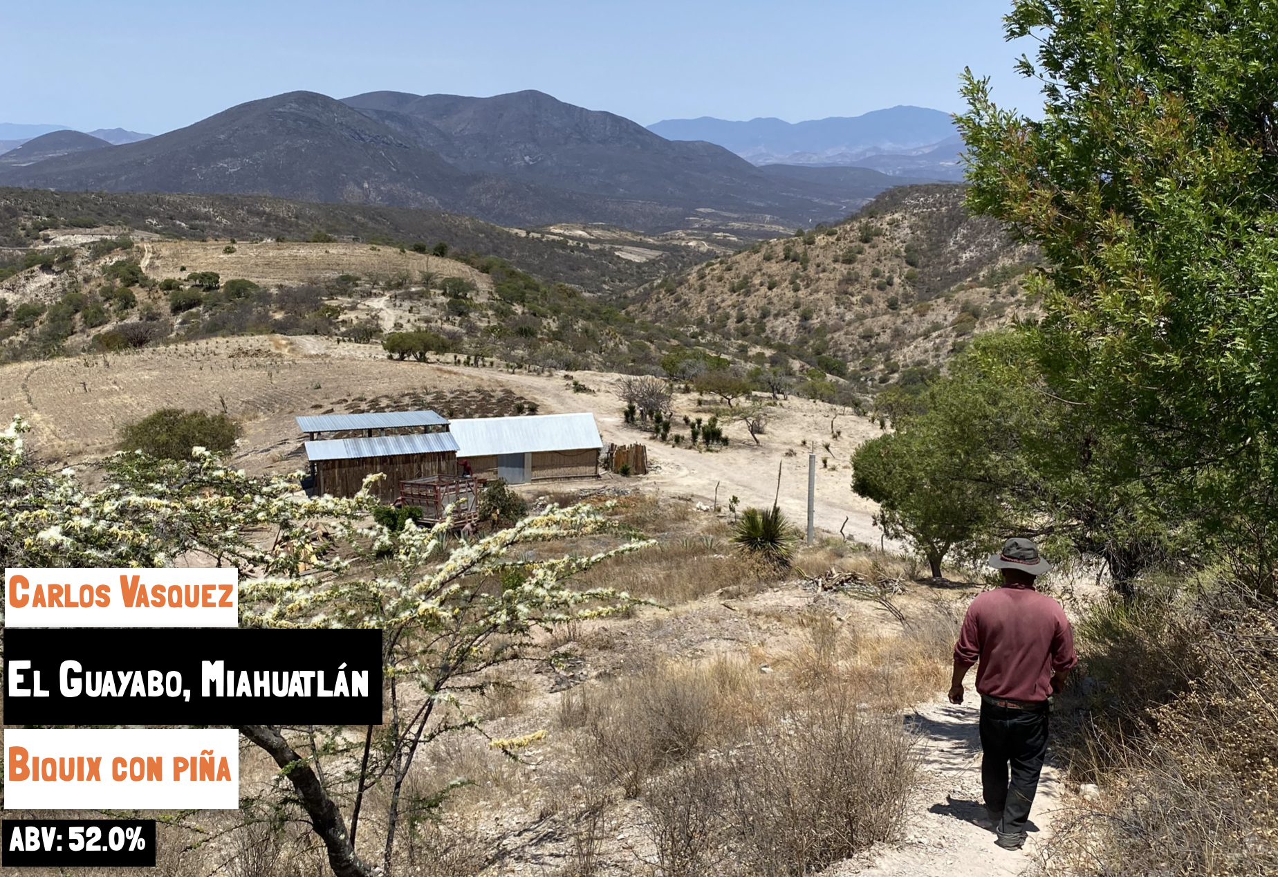 Main image of the Biquix con Piña - El Guayabo mezcal on the Sin Gusano project website