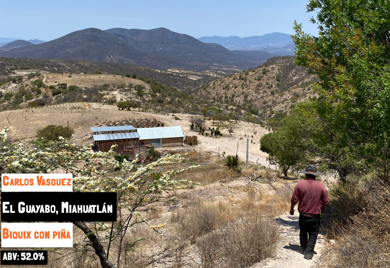 Main image of the Biquix con Piña - El Guayabo mezcal on the Sin Gusano project website