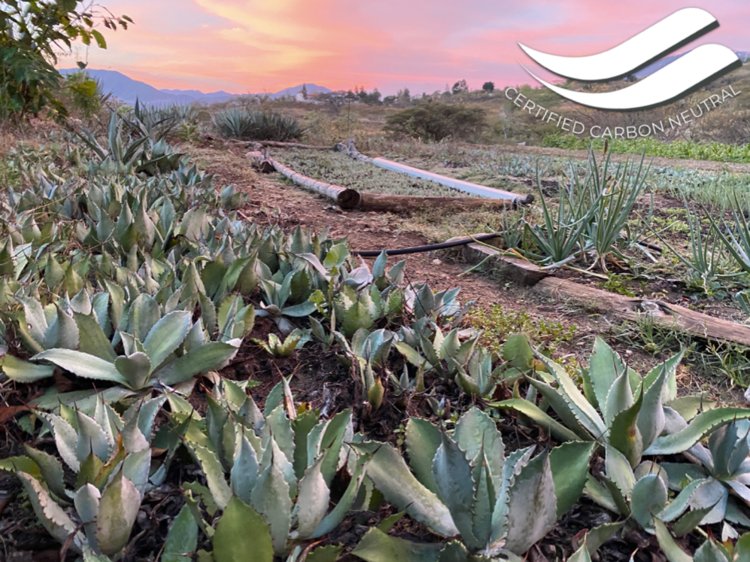 Sin Gusano is certified carbon neutral