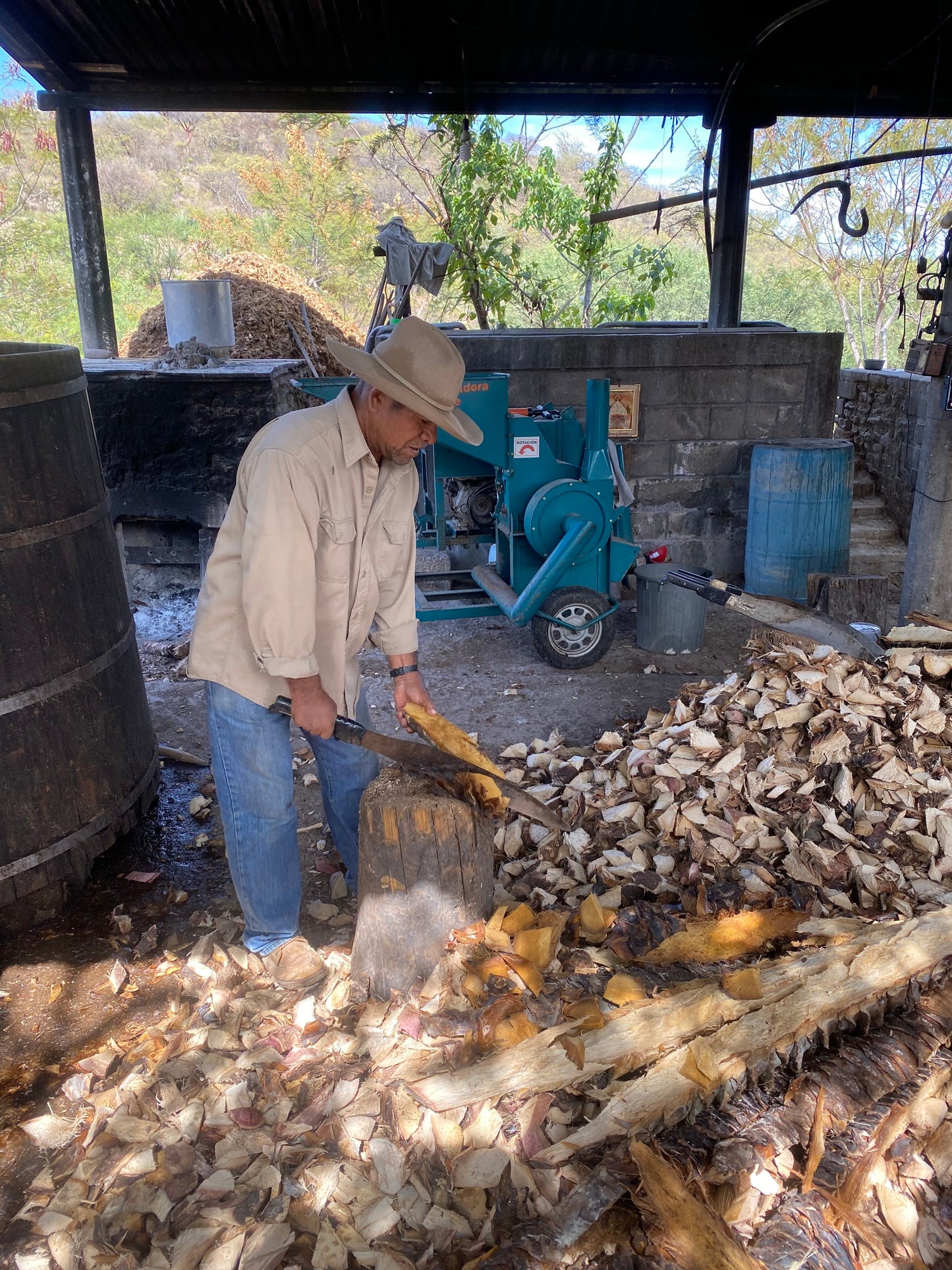 the process of making the Cuishe - San Luis Amatlán Mezcal. Limited bottling only available at Sin Gusano