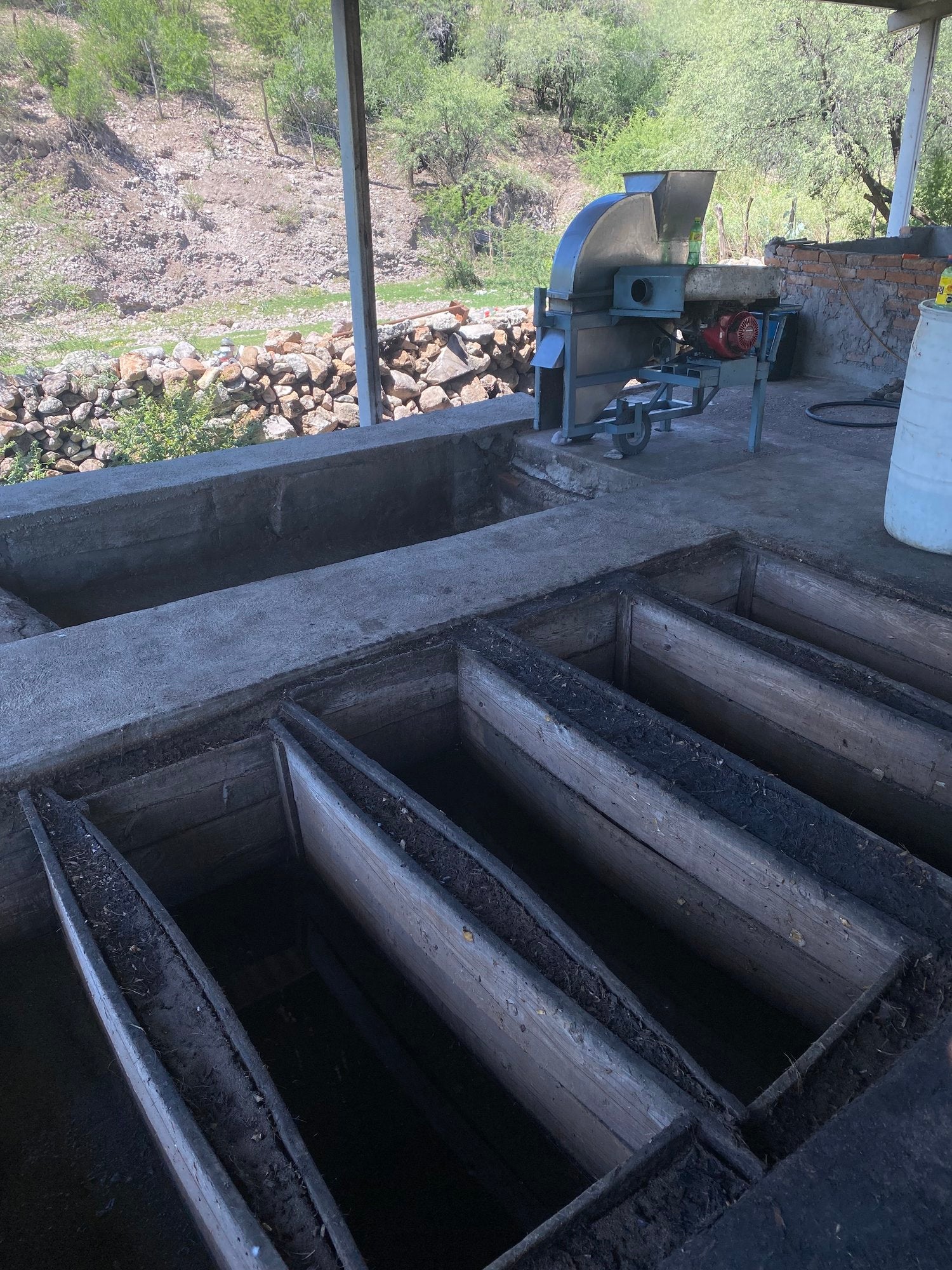 Pits used for fermentation of mezcal